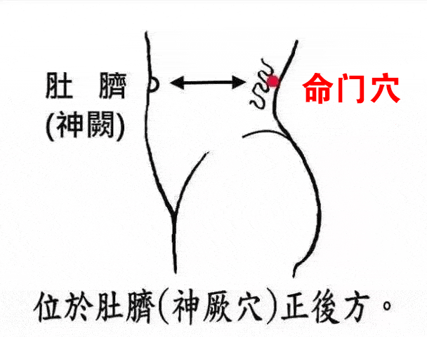 任脉_全身_气血