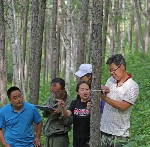 三代人接力造林让荒原变"绿海"--塞罕坝机械林场一线建设者风采录之三