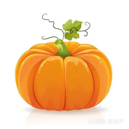 南瓜插画-正版商用图片06mq68-摄图新视界
