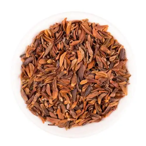 连翘种子中药材树苗药用老翘庭院阳台盆栽绿化家庭园艺种子