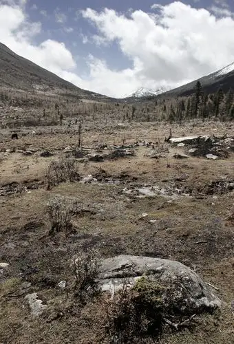 【康定】草甸高原,当林线往身后退去,血线还没出现,便是这样荒凉的