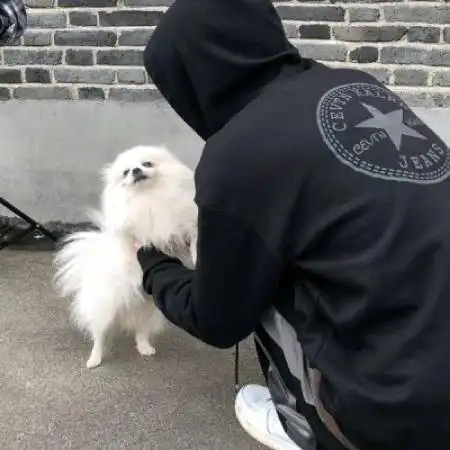 男生与狗狗头像