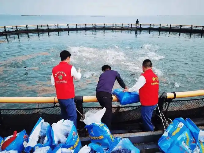 广西北海市区联社精准浇灌渔业产业发展