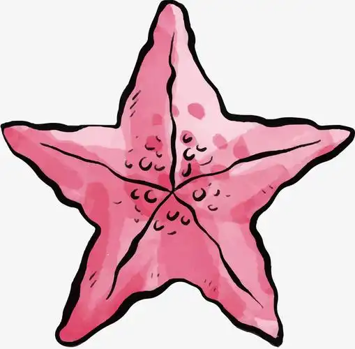 手绘海星矢量图下载