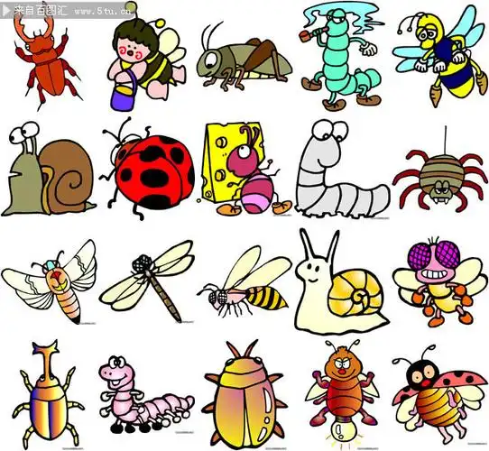 昆虫大全卡通昆虫矢量图