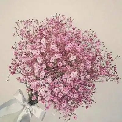 满天星图片高清图片唯美微信头像满天星图片大全