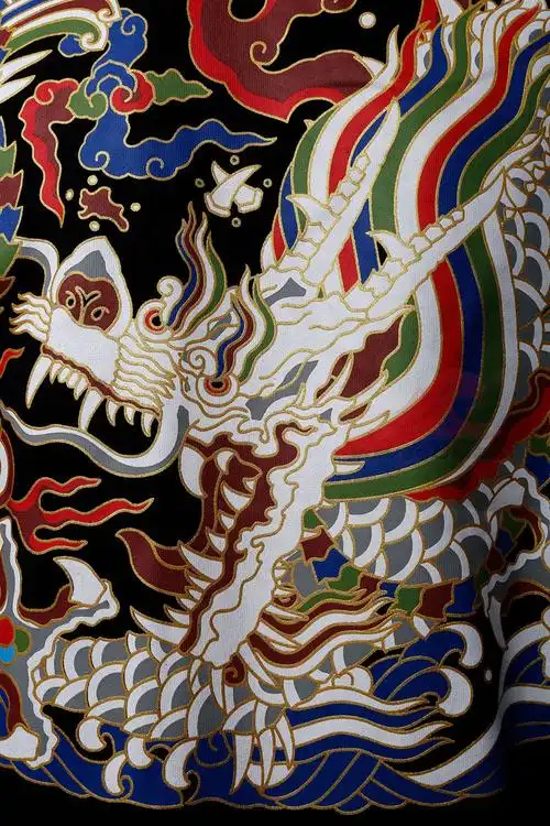 大明描金飞鱼纹云肩通袖襕套头卫衣