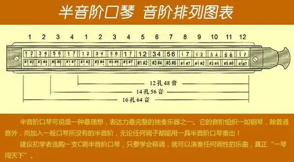 半音阶口琴音阶排列
