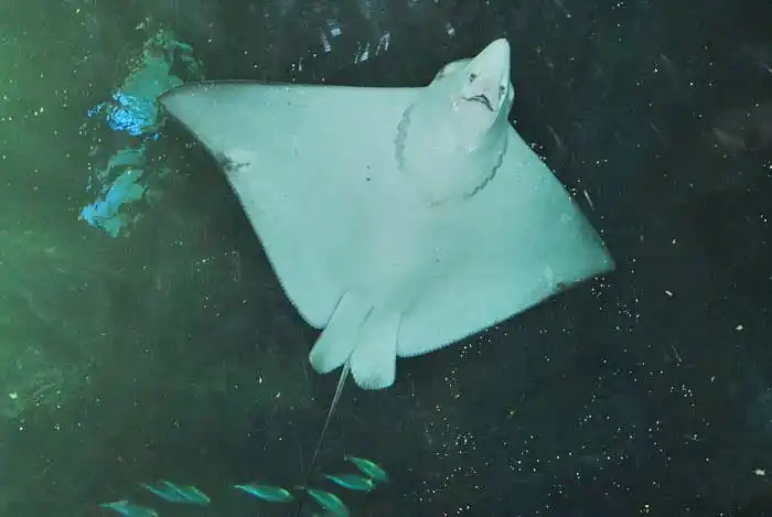 【原创】香港海洋世界记 附图