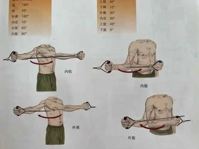 大臂外展内收,小臂屈伸首先,我们来看看跟手臂有关的几个动作,可以分