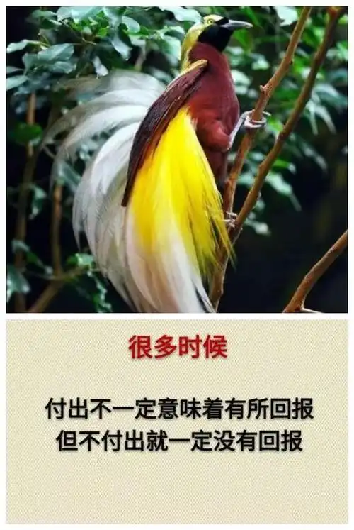 不付出,就一定没有回报