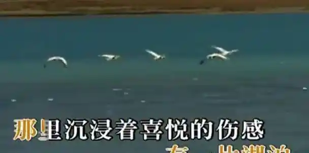 2000年,他为羽泉拍摄了歌曲《冷酷到底》的mv.