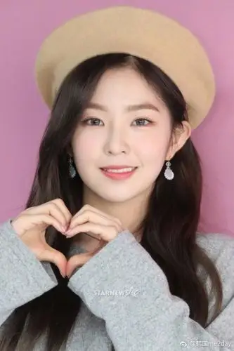 组图:ireneirene裴珠泫戴贝雷帽 文艺优雅气质佳_高清图集_新浪网