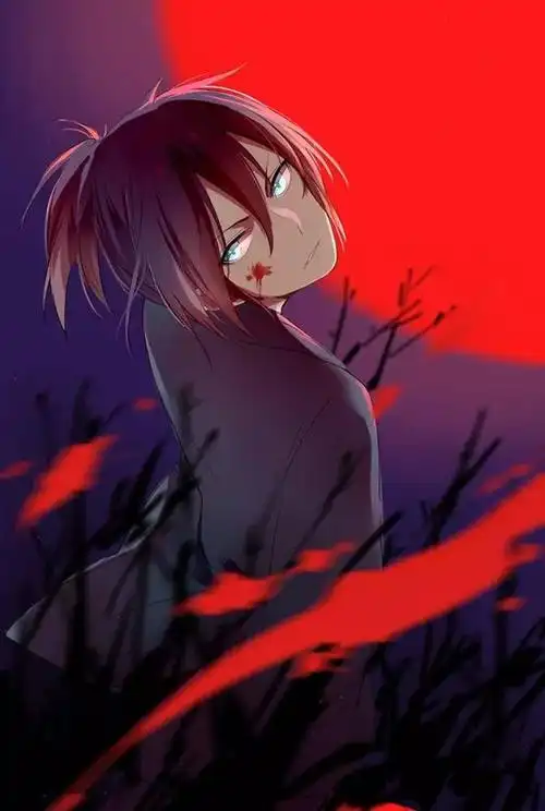 壁纸夜斗野良神554期