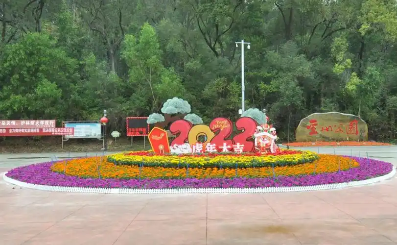 开平:摆花布景添年味,装扮城市迎新春