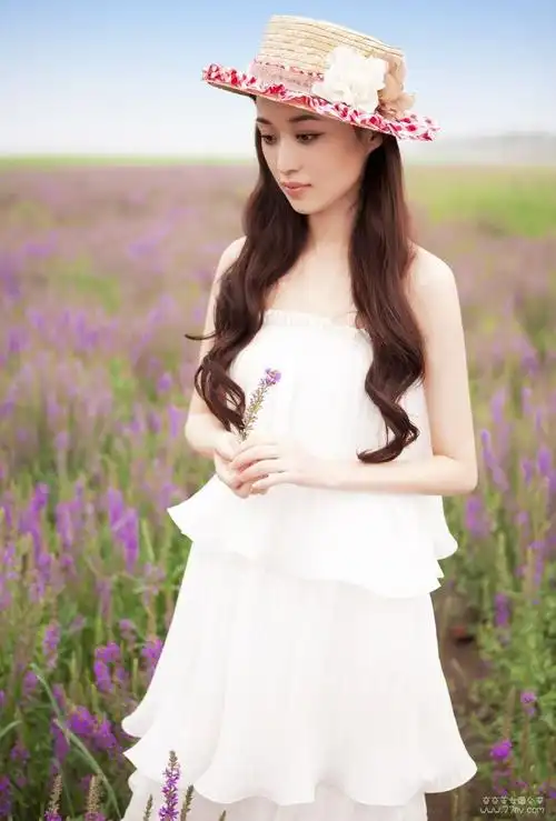 高清薰衣草,淡淡的微笑王彤羽