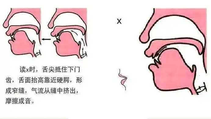 jqx舌面音如何发好