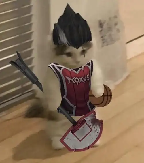 你都有哪些英雄联盟魔法猫咪的表情包