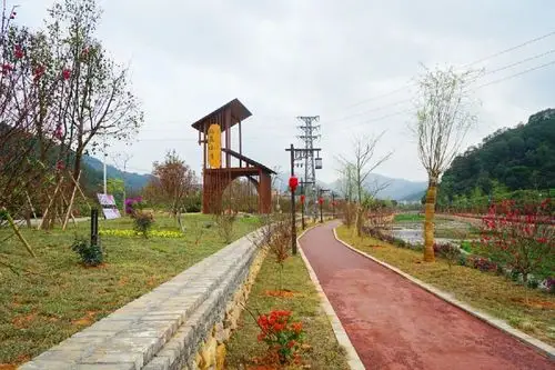 江埔街锦二村以花为媒,绘就乡村幸福画卷