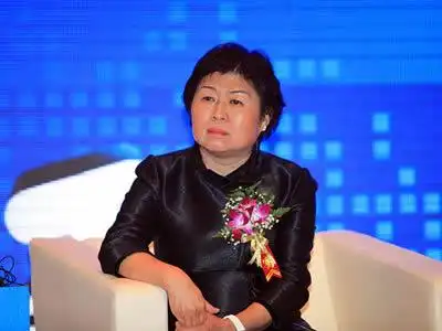 张茵-玖龙纸业(控股)有限公司董事长介绍