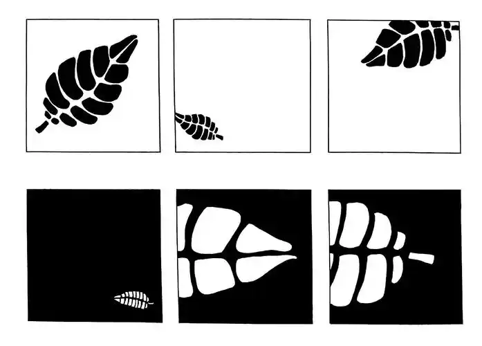 大二疫情时代构成基础作业(二)