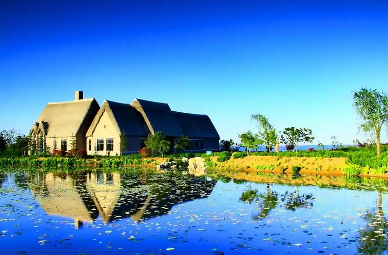 荣成烟墩角村海草房景色很美,每年的十一月份还有西伯利亚白天鹅来