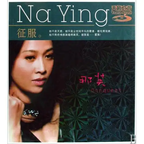 【那英歌曲专辑(1)】:《征服》(10首连播音画)