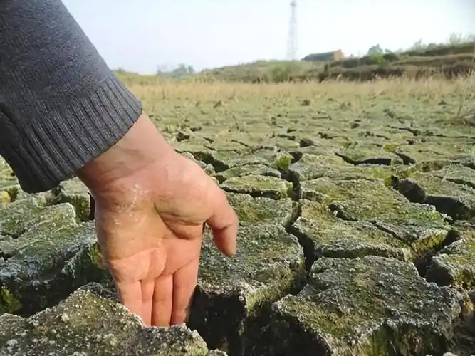 水是人类细胞的重要组成部分,人体的正常生命活动也离不开水,成年人
