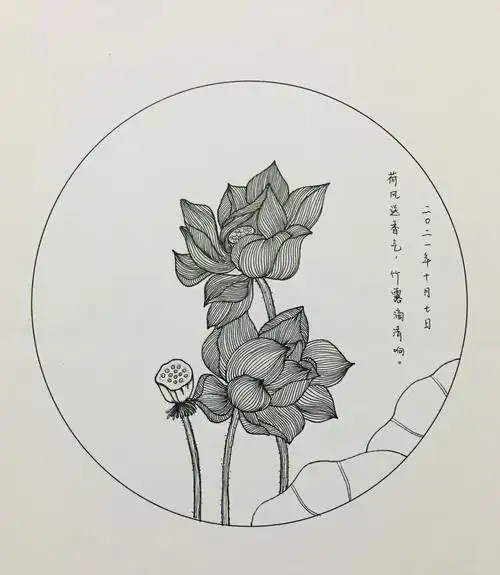 临摹练习第207天线描荷花