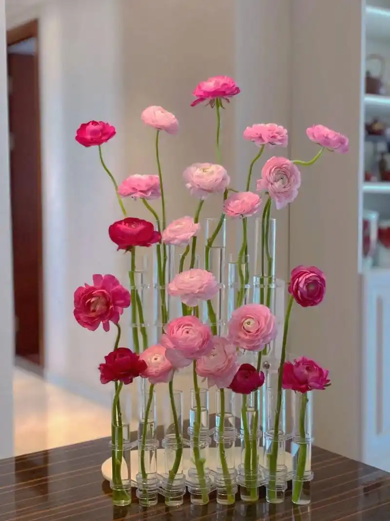 随手一插氛围感拉满的试管花瓶插花合集93