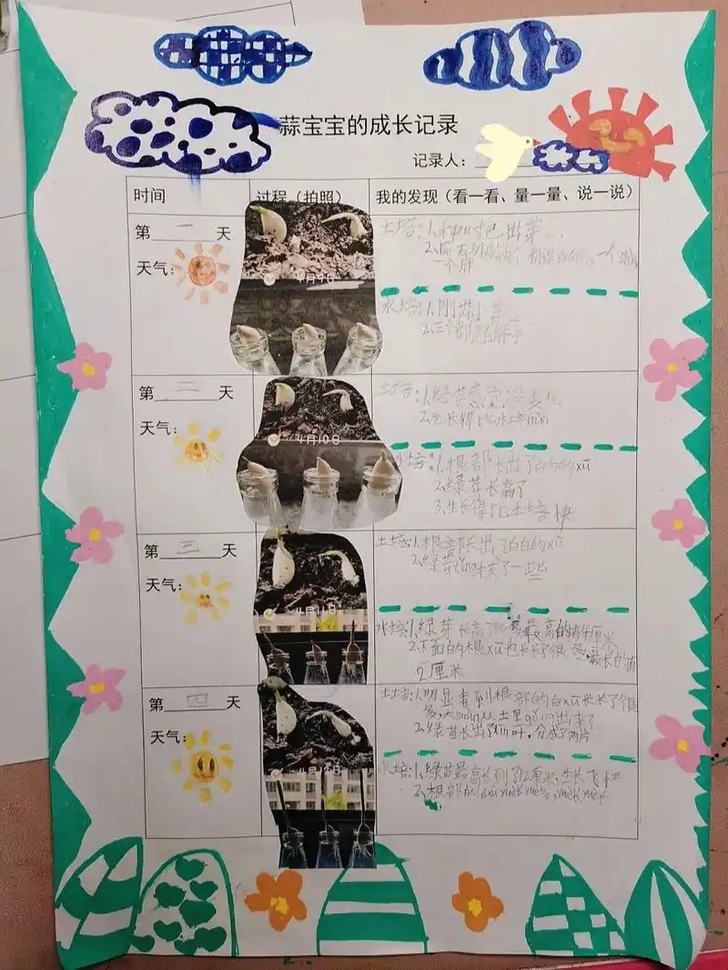 幼儿园～小学科学大蒜成长记录表～植物成长