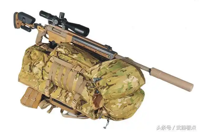 ashburyasw338狙击步枪