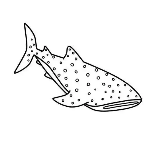 鲸鲨简笔画相关图片 第1页