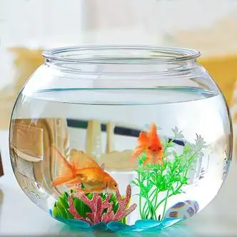 10,不要在鱼缸旁边放置五行(火,土)和颜色不相容的器具.