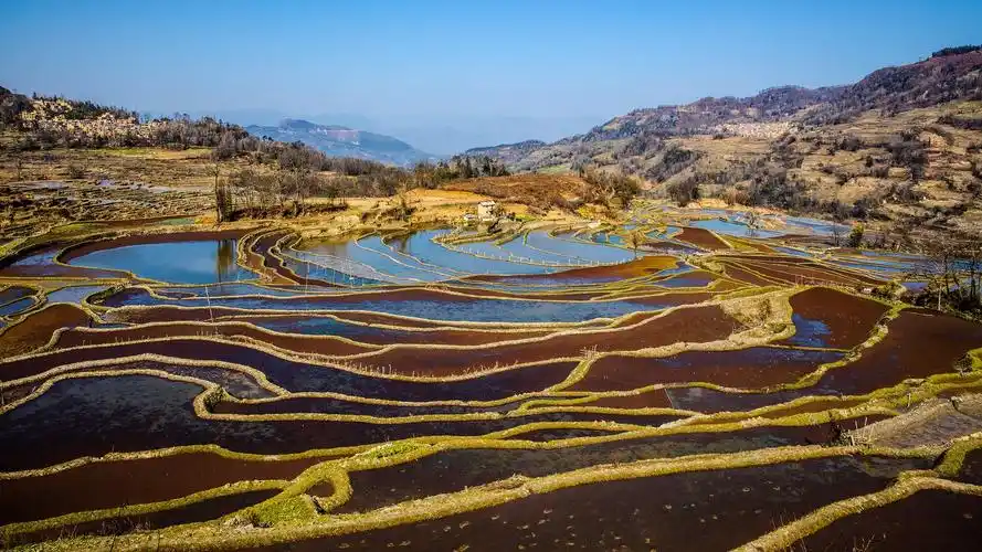 云南元阳箐口梯田风景