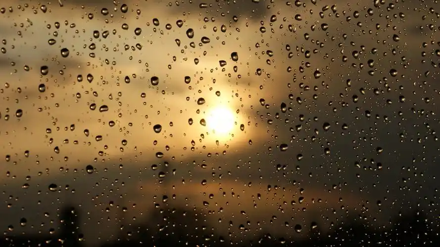 电脑壁纸 摄影壁纸 静物写真 在暴风雨之后