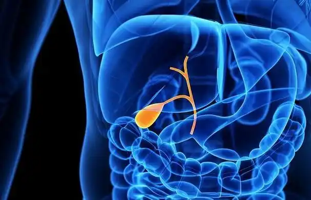 切除胆囊后对人体会有哪些影响?医生为你解释清楚!