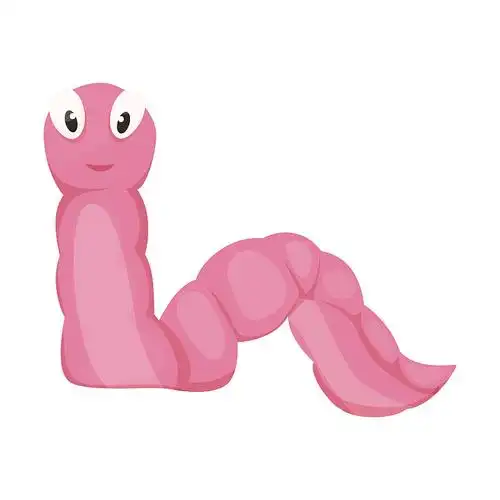 地龙incect图片下载