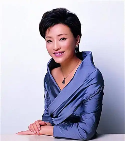 杨澜:我跟吴征在一起三十年了,现在过着没有计划的幸福生活!