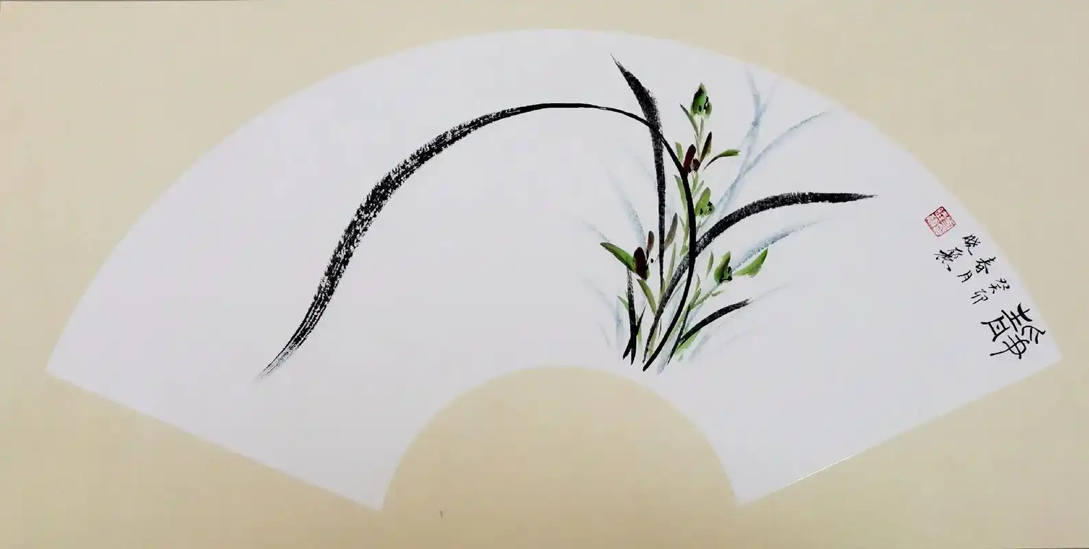 方晓丽国画兰花扇面作品,清雅灵秀! - 抖音