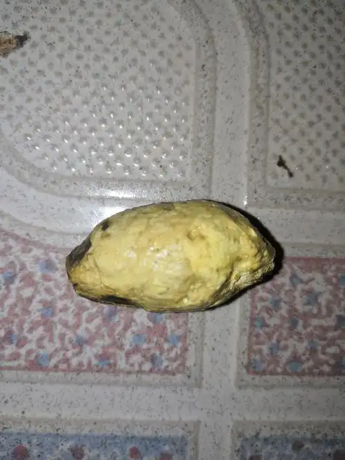 讨论猫便便是白色的怎么回事啊有图慎入