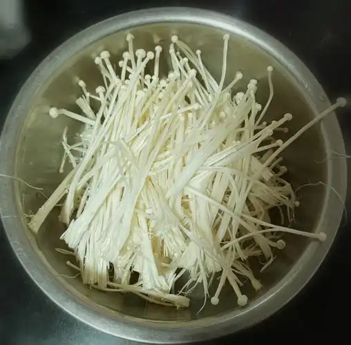 看一根根金针菇,像一柄柄洁白的小伞,娇嫩又可爱,还挺招人喜欢的!