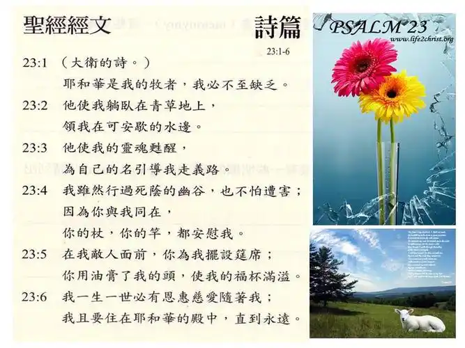 诗篇23篇1-6节