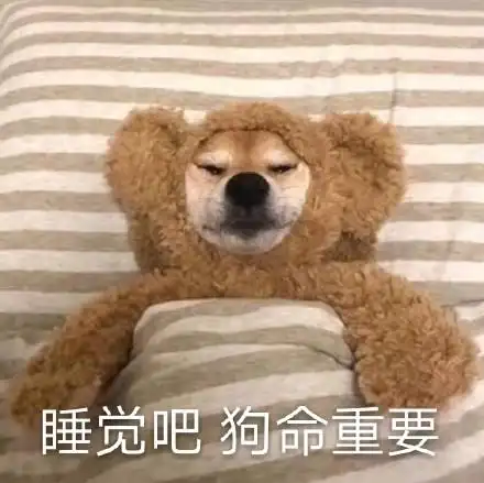 睡觉吧,狗命重要_狗命_睡觉_重要表情