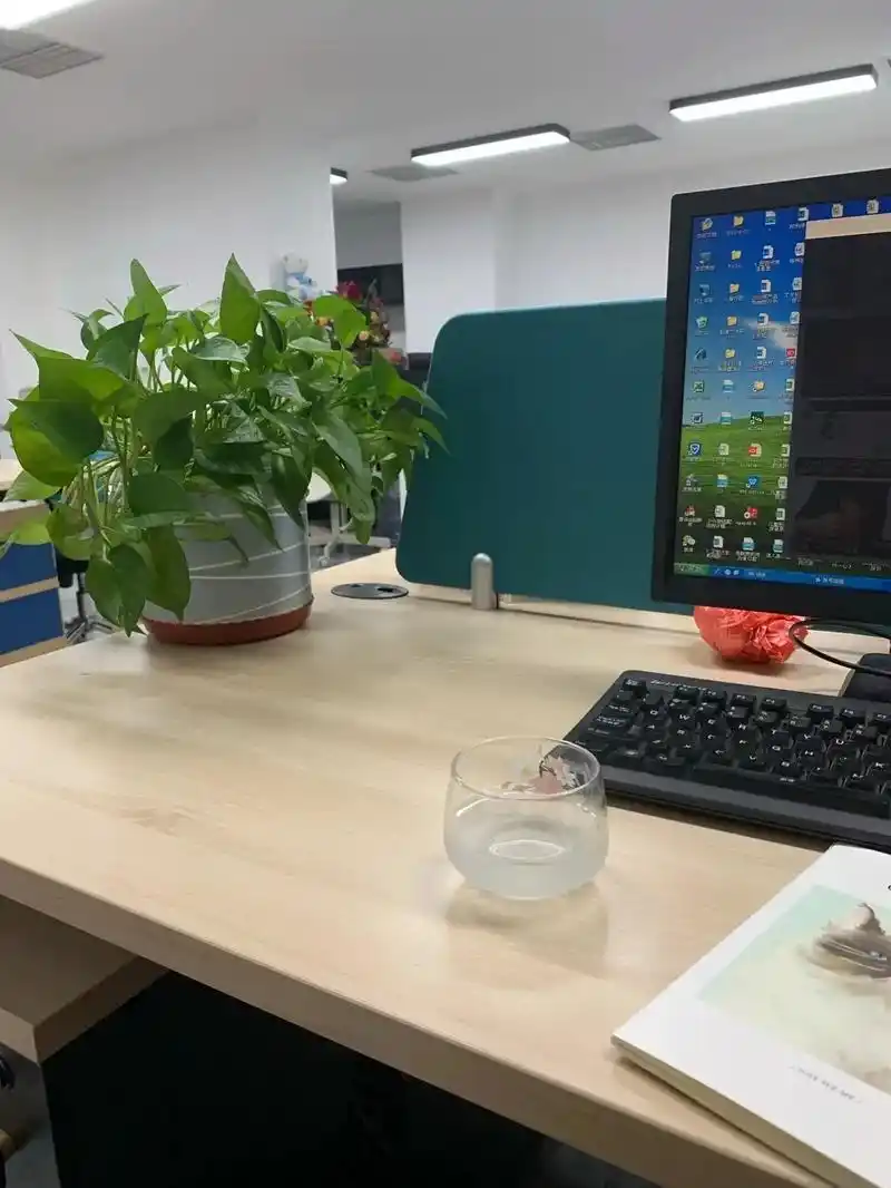 实习会计开会,连基本的财税问题都答不上来,真的很尬,就帮她整 - 抖音