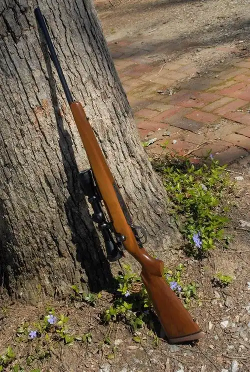 把德国98k步枪改为猎枪,美国枪迷心惊胆战差点毁了一代名枪