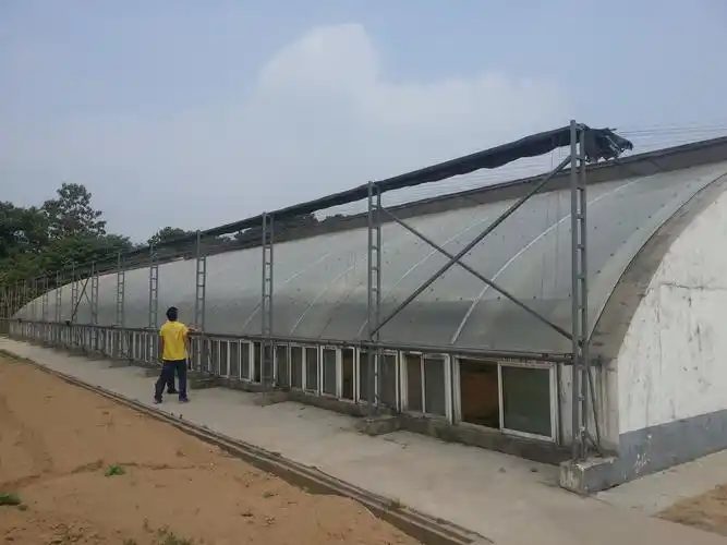 大棚图纸 - 热门商品专区