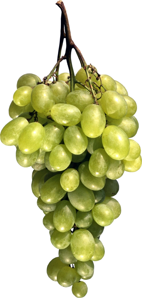 png免抠图素材—让你垂涎欲滴的免抠图水果,蔬菜之三(41p) - 刘会1011