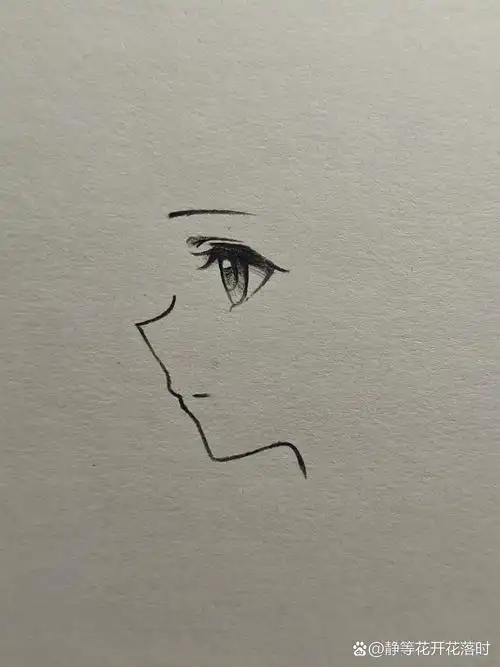 教你画侧脸,高马尾女生详细过程图 这么详细的教程图,快来教作业吧