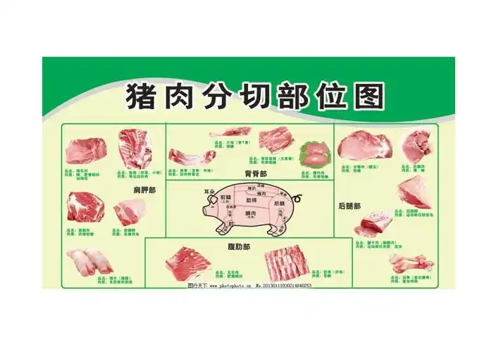 猪肉部位分割图